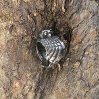 Owl Ring - Sterling Silver Ring - Totem Ring - Pagan Ring - Animal Ring - Bird Ring - Witch Ring - W