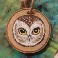Hand-painted Saw-Whet Owl Birch Ornament
