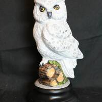 Snowy Owl