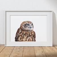 Boobook Owl Art Print: Australian Wildlife Gicl&eacute;e Print