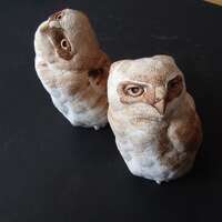 Owl Baby Bird Art Gift