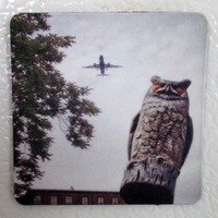 Owl Photo Magnet