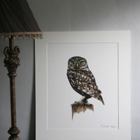 Archimedes - Limited edition giclee print of an owl from original pastel drawing by Imogen Man