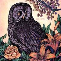 Grey Owl At Sunset 8x10" Metallic Print