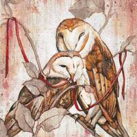 Entwined Owls ~ Print