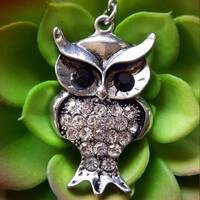 Silver Owl Keychain, silver pave crystal Owl Keychain, sparkly owl keychain, unique owl gifts, cute 