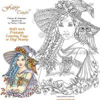 Witchy Woman & Owl Friends Fairy Tangles Printable Coloring Book Pages Adult Coloring Book Sheet