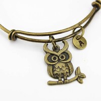 Owl Bangle, Owl Bracelet, Owl Charm, Bird Charm, Personalized Bracelet, Expandable Bangle, Charm Ban