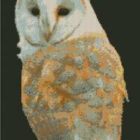 Barn Owl Counted Cross Stitch Kit 15" x 8.75"