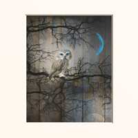 Rustic Home Decor, Owl On Tree Branch, Moon, Brown Blue Rustic Moden Owl Wall Art Picture