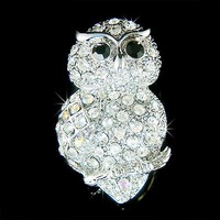 Swarovski Crystal Cute Guardians WISE OWL Hawk wisdom Bird Pin Brooch Jewelry Teacher Student Best F