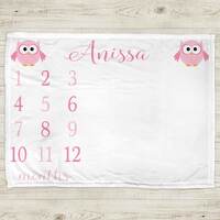 Owl milestone blanket, baby growth blanket, personalized baby gift, girl baby photo blanket, monthly