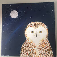 Midnight Snowy Owl
