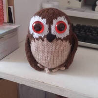 owl