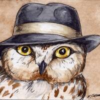 The Bermuda Saw-Whet Owl ~~ No 27  of 100 series- ~ signed watercolor print