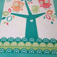 Owl Baby Blanket FCEB2