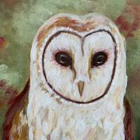 Owl acrylic painting