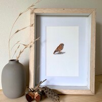 Limited Edition Print ‘Little Owl’