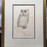 Owl Pencil Original Signed Professionally Framed 1985