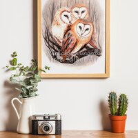 Barn Owls - Barn Owl Art - Realistic Owls - by Tree Talker Art - Rachael Caringella