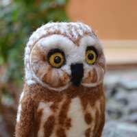 Mr. Northern Saw Whet Owl, needle felted bird fiber art sculpture