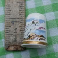 Snowy Owl Thimble W.R. Tipton Caverswall Made in England Vintage English China Collectible Bird Them