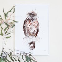 Australian Birds Powerful Owl Giclee Art Print