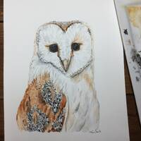 Watercolor barn owl