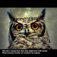 Shakespearean Spotted Eagle Owl | Digital download