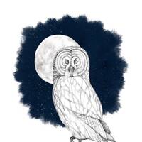 Owl Fabric Panel - Large panel, Stoff Panel , Bird Fabric, Christmas Fabric, Stretch fabric panel, K