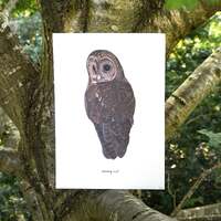 Tawny Owl Watercolour A4 or A5 Print // Painting Art Print of Birds // Owl Painting Illustration