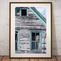Owl in Abandoned House Photograph, Fine Art Print, Farmhouse Country Décor, Rustic Wall Art, 