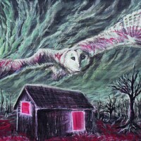 Barn Owl Nightscape