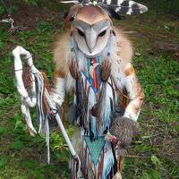 Barn Owl Manitou