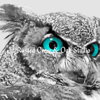 Modern Black White Grey Owl Bird Blue Aqua Eyes Home Decor Matted Picture Print A174