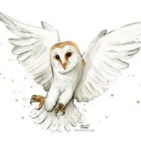 Barn Owl Watercolor Print, Barn Owl Art, Owl Art Print, Owl Painting, Owl Gift, Wildlife, Animal Ill