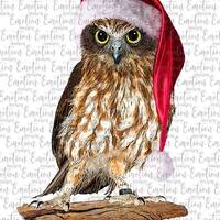 Christmas Owl 2 clipart, instant download, Sublimation graphics, PNG