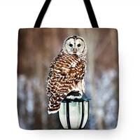 Owl Tote Bag, Barred Owl Carryall Tote, Unique Tote Bag, Tote Bag for Woman, Nature Tote Bag, Art Pr