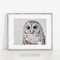 Hoot • Barred Owl Photography Print, Bird of Prey Large Wall Art, Wildlife Photo, Woodland Anim
