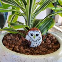 Little barn owl hand painted pebble, Amulet owl rock, plant pot ornament, bird stone painting, Owl l