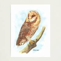 Barn Owl Watercolor Painting &ndash; Original Wildlife Bird Art &ndash; Blue Background &ndash; Rapt