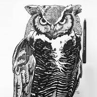 Original Owl drawing, Line drawing, fine liners, pen art, black and white, Halloween wall decor, bir