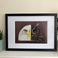 Fine art print, eagle print, owl print, giclee, portrait, animal portrait