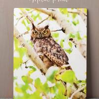 Great Horned Owl Metal Wall Art - Clearance – 11x14 Woodland Owl Print Rustic Cabin Decor &nda