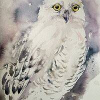 White Owl Original Watercolor Painting Wall Art