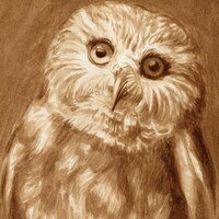 coffee art, Night Owl, painted with coffee, owl art, coffee shop decor, espresso art, bird painting,