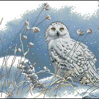 Northwind Owl Cross Stitch Pattern &ndash; Majestic Winter Owl Design &ndash; Instant PDF Download