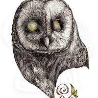 Owl (Giclée Print)