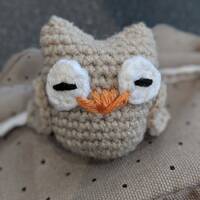 Crochet Mini Owl set - Handmade - Stuffed toy - Ornament - Keychain