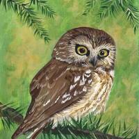 Cute Owl 8 x 10 reproduction PRINT